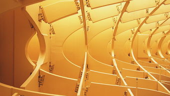 乐鱼体育app在线登录-校园体育文化建设实践成效及发展路径分析,校园体育文化建设范畴包括