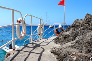 乐鱼体育入口-海湾者未来青训体系逐渐完善,海湾技术