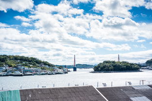 乐鱼体育入口-海湾者未来青训体系逐渐完善,海湾技术