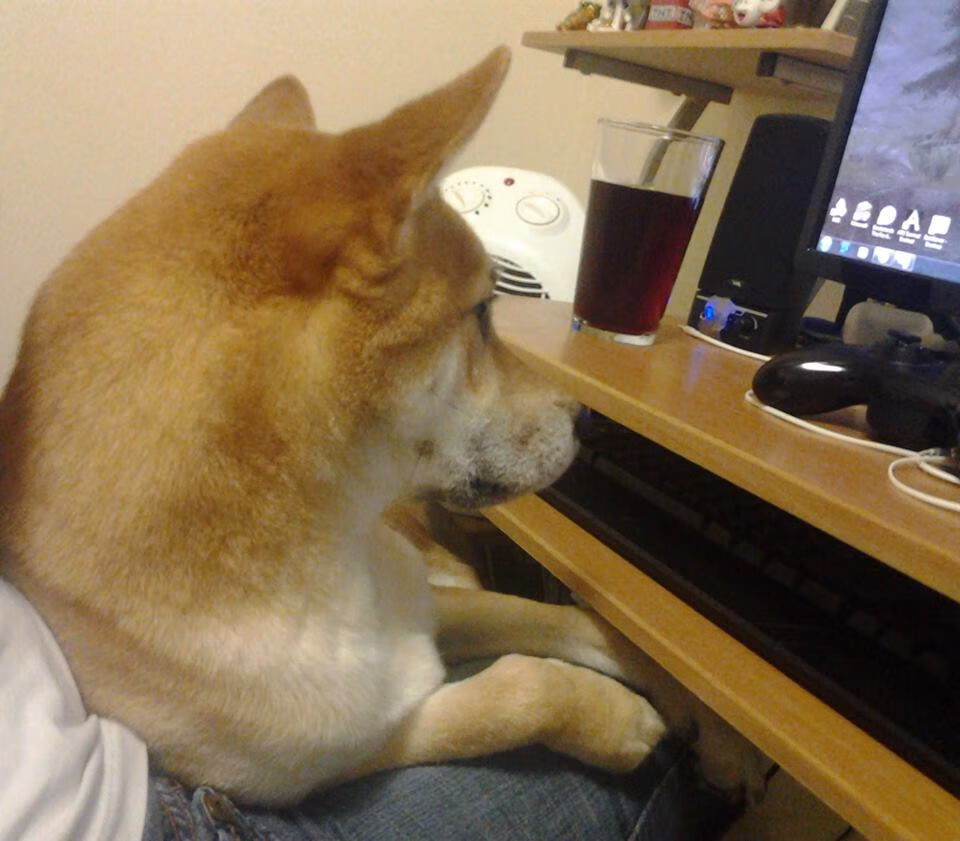 乐鱼app下载-“马科斯·梅特罗的坚韧防守,成为阿根廷美洲狮队的坚实后盾”